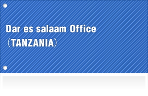 Dar es salaam office